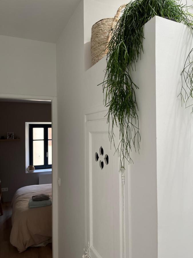 Maison Petite Cote Каркассон Экстерьер фото